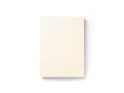Matte Ivory
